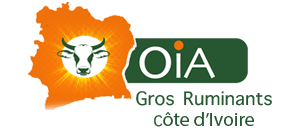 Logo OIA